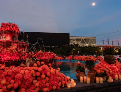 Zapopan se llena de color y tradición con el Festival de las Almas 2026. CORTESÍA/ Gobierno de Zapopan