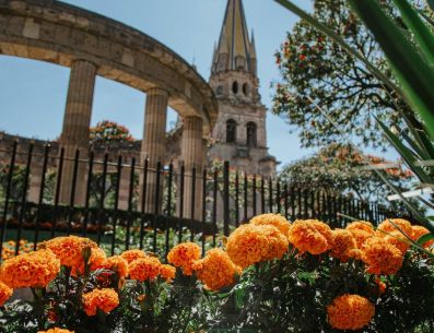 Las flores de cempasúchil llegaron a las plazas de las Ranitas, a la Guadalajara, el Palacio Municipal, de la Liberación y la Brasil. ESPECIAL / Ayuntamiento de Guadalajara